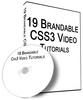 Thumbnail 19 HIGH-QUALITY CSS3 Videos PLR Giveaway Rights 2013