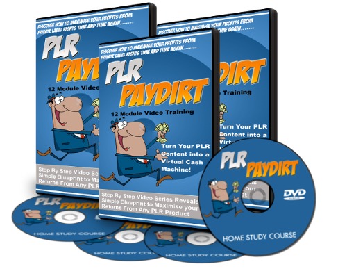 Product picture PLR Paydirt Video Tutorials with Resell Rights