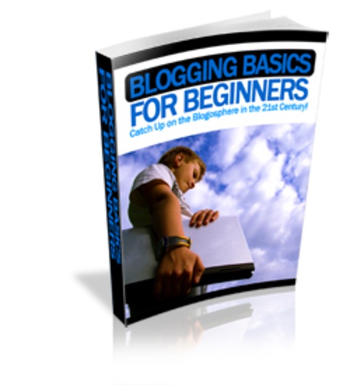 Product picture Blogging Basics For Complete Beginners eBook Full PLR
